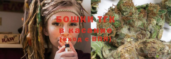 дживик Иннополис