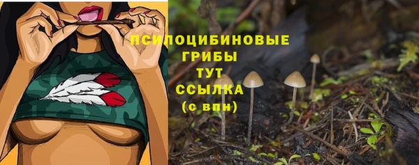 герыч Инсар