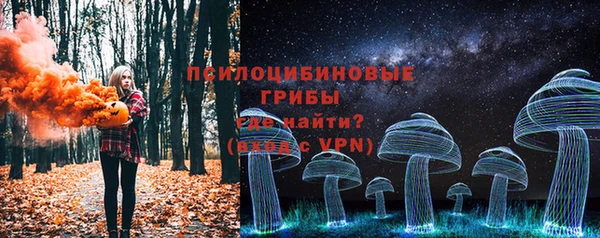 дживик Иннополис